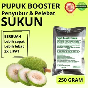 Pupuk Booster Sukun / Obat Booster Buah Sukun / Pupuk Booster Buah Sukun / Pupuk Buah Sukun