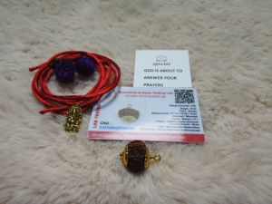 Original Rudraksha 11 Mukhi(11 Faces/ 11 Mugam)Rudraksha Bead With Lab Certificate (RARE)