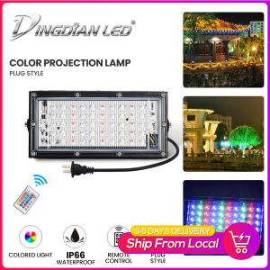 DingDian LED AC220V LED Lights Outdoor 50W RGB Flood Light with Plug 16 Colors Waterproof Remote Control Floodlights for Garden Yard Park Searchlights