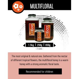 13 Honey Natural Pure Honey Organic Honey Raw Honey Manuka Honey UMF 15 Wild Honey Stingless Honey