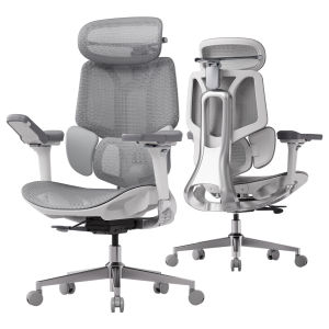 Hbada E3 Pro 2026 Ergonomic Office Chair with Dynamic Lumbar Support Adjustable Headrest & Adjustable Armrests | Mesh Gaming Chair