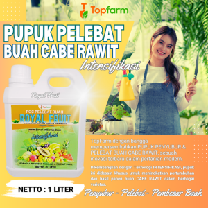 Pupuk Cabe Rawit Pelebat Buah / Pupuk Pelebat Buah Cabe Rawit / Pupuk Cabe Rawit Setan / Pupuk Semprot Untuk Cabe Rawit / Pupuk Anti Keriting Cabe Rawit