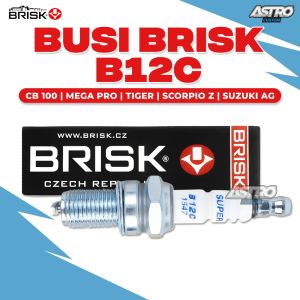 Busi Motor BRISK Honda Tiger SCORPIO Lengkap DLL Copper B12C