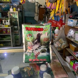 Pakan Burung Makanan Burung Topsong Besar Rasa Madu Dan Rumput Laut Kemasan Pabrk