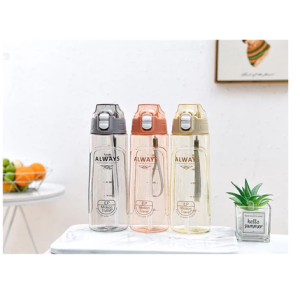 BOTOL MINUM ANTI TUMPAH 650ML FREE SEDOTAN KODE ZY 1820 1818