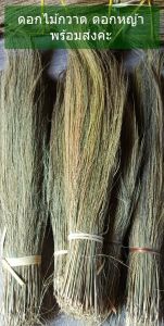 ดอกไม้กวาด ดอกหญ้า ดอกแขม ดอกกง เกรดเอ A คุณภาพดี สีสวย ก้านยาว สำหรับทำไม้กวาด สินค้าพร้อมส่งทุกวันค่ะ