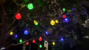 2026 Viral Solar Crystal Ball String Light Lampu Hiasan Taman Solar 5M/7M/12M 8MODE Bubble Ball Globe Solar String Lights Outdoor Decoration Lamp Lighting Night flashing lights/crystal light bulb Waterproof