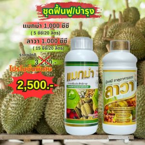 🔥🔥 ส่งฟรี 🔥🔥 แมกม่าลาวา แมกม่า ( 1000 ซีซี ) สารจับใบเสริมประสิทธิภาพ ต้านเพลี้ยลดการหลุดร่วง + ปุ๋ยน้ำ ลาวา ( 1000 ซีซี ) เร่งฟื้นฟูต้นเพิ่มปริมาณ ลดต้นทุน