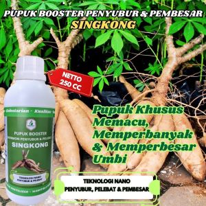 Pupuk Pembesar Umbi Singkong Pupuk Singkong Paling Bagus Penambah Berat Singkong Penambah Bobot