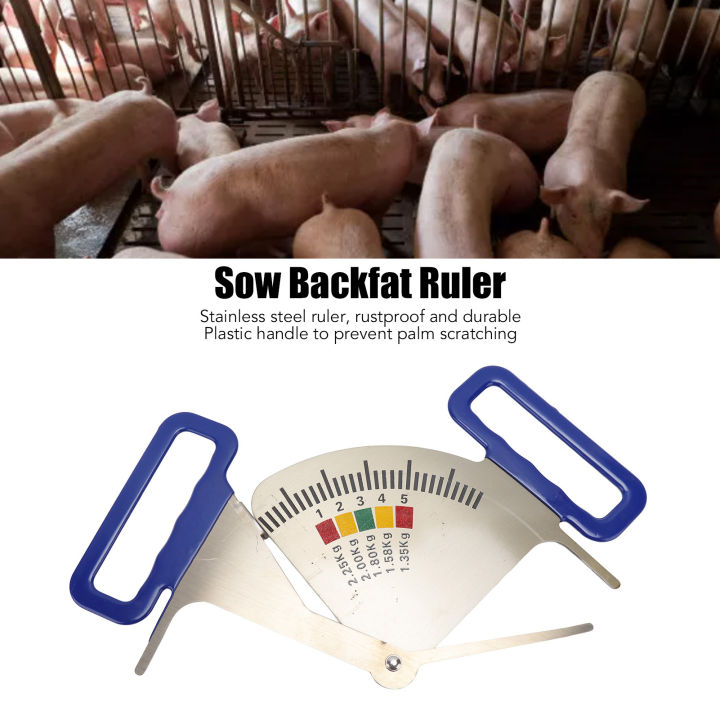 Meats Back Fat Ruler Pig Feeding Ruler 5 Measuring Intervals Pointer Type Sow Backfat ...