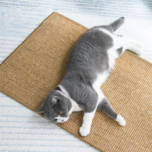 พร้อมส่ง แผ่นลับเล็บแมว ที่ลับเล็บแมว ที่นอนแมว พรมลับเล็บแมว ของเล่นแมว ลับเล็บแมว ที่ฝนเล็บแมว สุ่มส่ง Natural Cat Scratcher Pet Mat
