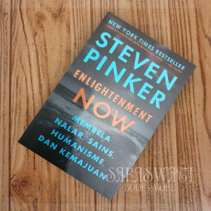 Enlightenment Now by Steven Pinker