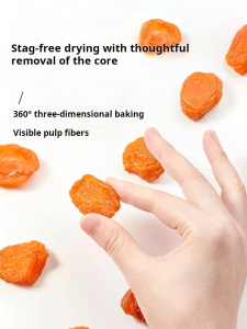 Seedless Golden Apricot Dried Fruit for All Ages Year-Round  Unique Taste  Freshness  Naturally Grown