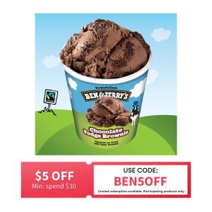 Ben & Jerrys Chocolate Fudge Brownie Ice Cream 473ML - Frozen