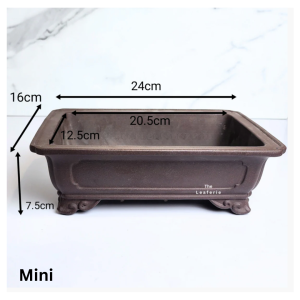 The Leaferie Bonsai Tally pot (Series 6) Rectangular Plant pot . Zisha . Flowerpot . Purple Sand Rectangle