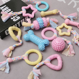 Dog chew toys puppy bite teething toys Resistant to Bite Bone Molar Thorn