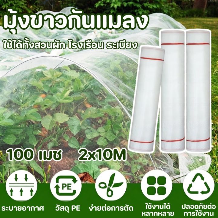 Squash Net For Insect Control มุ้งขาวกันแมลงมุ้งกันแมลงผัก มุ้งขาวโรงเรือน 32ตา/60ตา/80ตา มุ้งกันแมลง ...