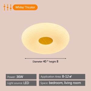 RNG-Lighting Nodic Ceiling Lamp Bedroom Center Light Led Ceiling Light Modern Design Living Room Light