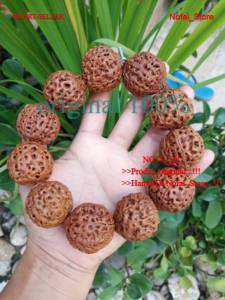 Gelang Jenitri Rudraksha Genitri Jumbo Besar