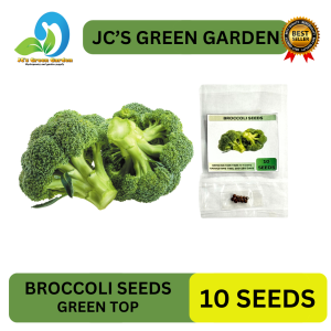 10 SEEDS - F1 BROCCOLI SEEDS/GREEN TOP VARIETY/HYBRID/FIRM FLOWER/EASY TO GROW/MORE PROFIT