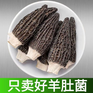 头茬羊肚菌羊肚菇野生菌新鲜食用菌干货菌汤包食材云南特产Dried Morchella Mushroom