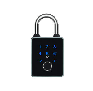 RAYKUBE T55D TT Lock BLE Waterproof Keyless Intelligent Fingerprint Padlock Portable Digital Lock With APP/Password/Key Unlock