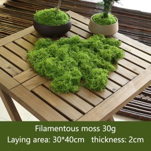 100g Artificial Simulation Moss Lawn Decoration DIY Micro Landscape Layout Green Plant Bonsai Artificial Simulation Moss 100gMiniature Grass DIY Green Plant Static Grass Flocking for Home/Garden
