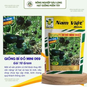 Hạt Giống Bí Đỏ Mini F1 069 Siêu Sai Trái – 10g – Nam Việt Seeds