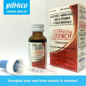 15 ml Swine Nutri Drench for Piglets 15 ml Nutri drench for pig  15 ml Nutridrench piglet energizer