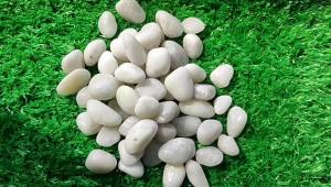 LZD  White Cobblestone Decoration Floor White Stones Courtyard Landscape Fish Tank Decoration White Fine Throw Small Stone Riverstones