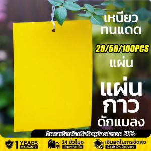 20/50/100/200/500 แผ่น สีเหลือง แผ่นกาวดักแมลงขนาด แผ่นกาวดักแมลง กับดักแมลงกินผัก ดักแมลงศัตรูพืช กาวเหนียว 20x10 ซม./20x15 ซม.กาวดักแมลงวันทอง กาวเหนียว 2 ด้าน สำหรับดักแมลงวันทอง แมลงศัตรูพืช​ต่างๆ เหนียว ทนแดด