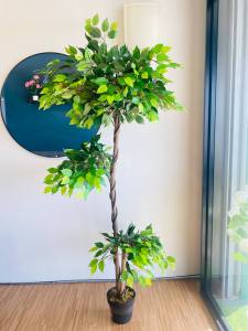 Artificial Ficus Bonsai 3 Tingkat Banyan Tree / Pokok Hiasan Viral / 180cm