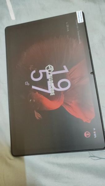 Buyer review video 2