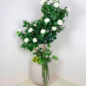 Cây hoa trà mi giả - Size 100cm đến 160cm - Cây giả hoa lụa Decor trang trí nhà cửa