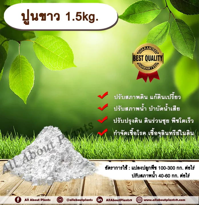 ปูนขาว allaboutplants ปรับสภาพดินและน้ำ เร่งพืชโต