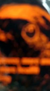 Pakan Burung Murai Kacer Pentet: Pakan Harian Berkicau Gacor