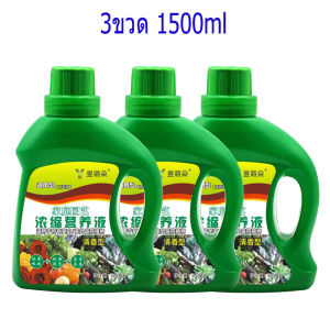 7วันรากเน่าหยั่งรากใหม่ น้ำยาเร่งราก ยาเร่งราก 500ml เยียวยาด่วน ปริมาณสารอาหารสูง เร่งดอกไม้ ใบเขียว เร่งราก รากไม่เผา ใช้ได้พืชทุกชนิด แก้ปัญหาเช่นรากเน่า ผงเร่งรากพืช ผงเร่งราก ยาเร่งรากและใบ น้ำยาเร่งรากใบ น้ำยาเร่งรากต้นไม้