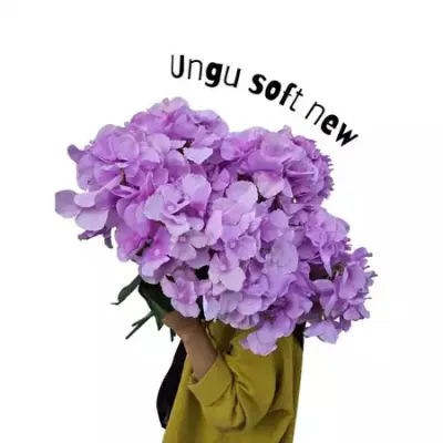 KOREANS Bunga Hortensia Jumbo Artificial Hydrangea Bunga artificial dekorasi 5 cabang
