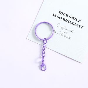 【Local Seller】10PCS Colorful Baked Paint 25mm Keychain Ring Hanging Chain Rotating Lobster Clasp Creative DIY Accessory