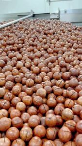 Milky Macadamia Nuts， 200g， additive-free healthy snack Nuts and snacks food