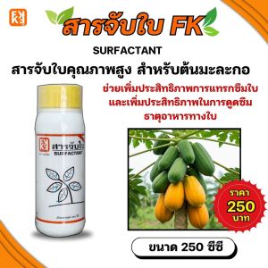 สารจับใบFK สารจับใบคุณภาพสูง สำหรับต้นมะละกอ เพิ่มประสิทธิภาพในการดูดซึม ธาตุอาหารทางใบ ขนาด 250CC