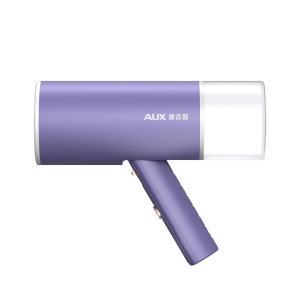 AUX Handheld Folding Garment Steamer 800W Household Fabric Portable Vertical for Clothes Ironin