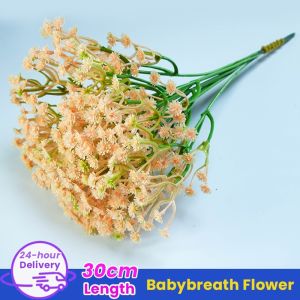 Preserved Dried Gypsophila Real Flowers in a Tub Gift Wedding Party Home Birthday DIY