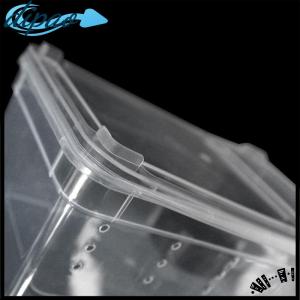 【dipao】 Reptiles Spider Transparent Plastic Feeding Box Insect Food Feeding Container