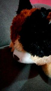 BONEKA KUCING BELANG JUMBO COKLAT 1 METER GIANT MAINAN EDUKASI BINATANG KARAKTER BAHAN RASFUR LEMBUT DAN HALUS SET HADIAH KADO ULTAH COWOK CEWEK DEWASA DAN ANAK MAINAN DOLLS TOYS