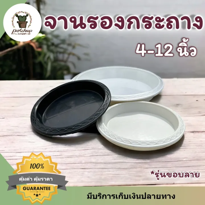 10 อันดับจานรองกระถางต้นไม้และกระถางยอดนิยม อัปเดตปี 2025