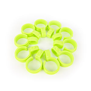 Móc Treo Quần Áo 10 Cái/bộ Móc Chống Gió Kẹp Khóa Treo Gió Phơi Đồ Giặt Là Gia Đình Bằng Nhựa