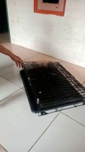 kandang kucingmusanganjingkelinci tingkat 3ukuran 60x40x100 size L plus rodabisa dilipat harga murah