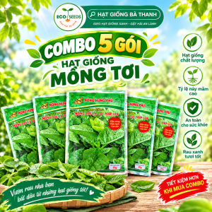 [EcoSeeds] Combo Tiết Kiệm 5 Gói Hạt Giống Rau Mồng Tơi Lá To - Cao Sản Sinh Trưởng Mạnh - Gói 20g