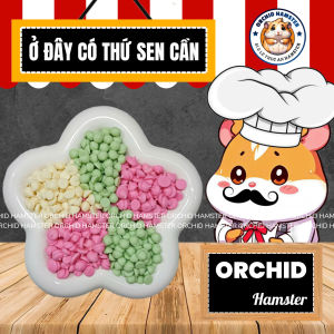 Drop Sữa Hamster 3 Vị Thơm Ngon Vỗ Béo Dinh Dưỡng Mỗi Ngày